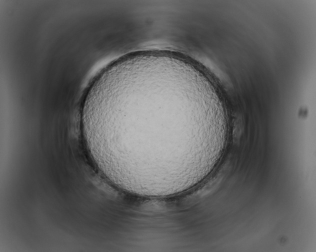 X0000101391358200807280928