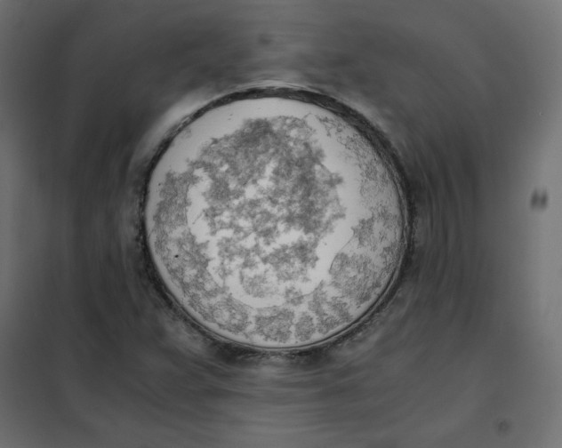 X0000101391359200807280928