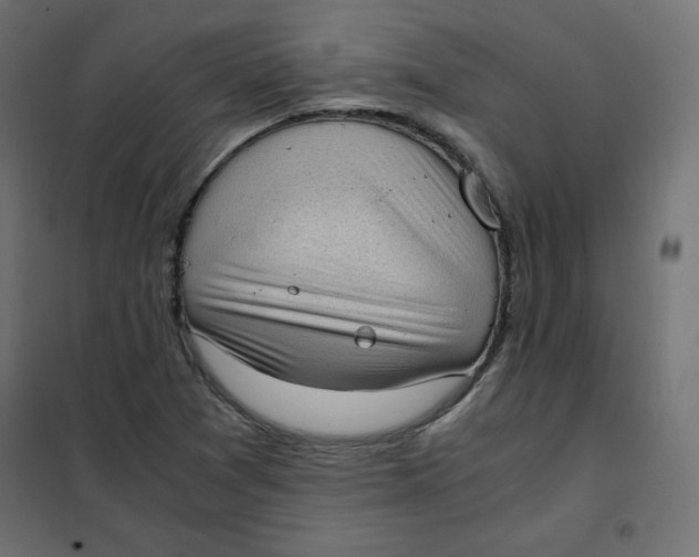 X0000101391361200807280928