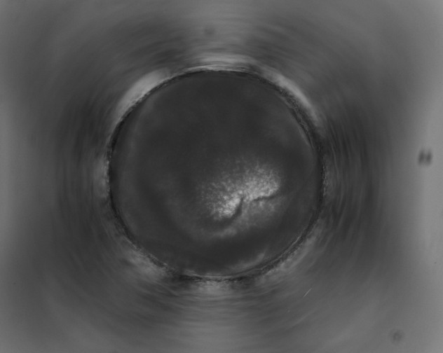 X0000101391362200807280928