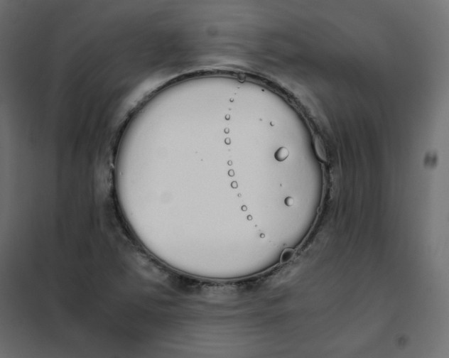 X0000101391363200807280928