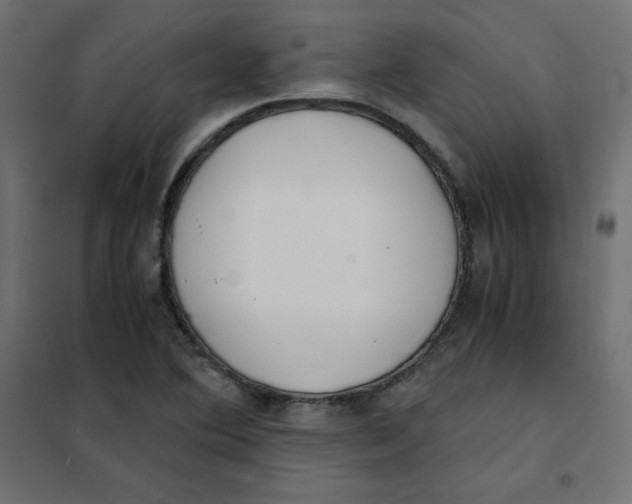 X0000101391364200807280928