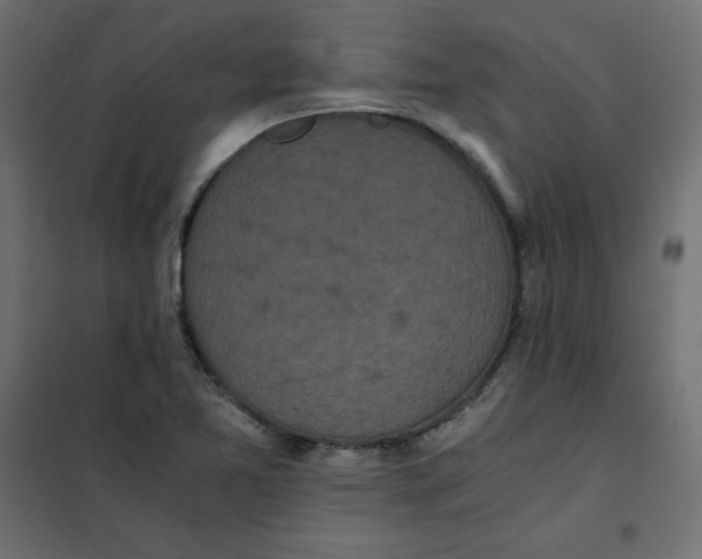 X0000101391365200807280928