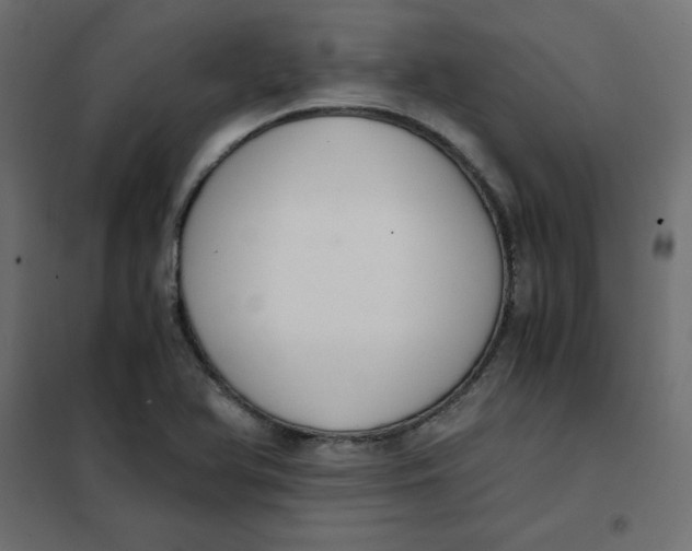 X0000101391366200807280928