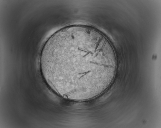 X0000101391367200807280928