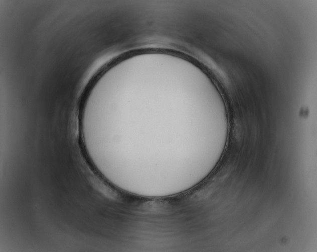 X0000101391368200807280928