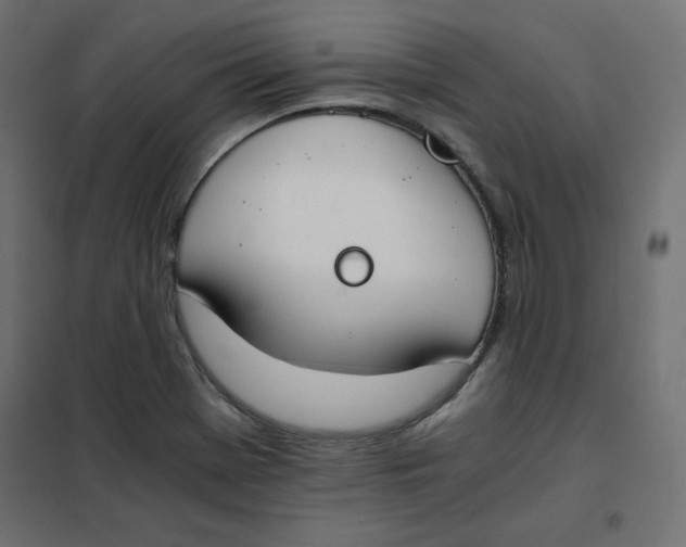 X0000101391369200807280928