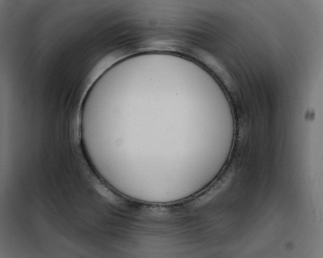 X0000101391370200807280928