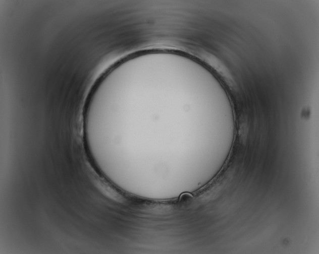 X0000101391372200807280928