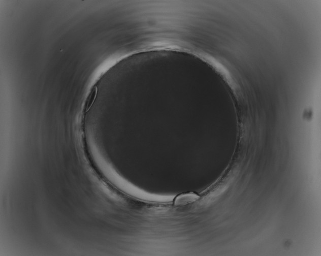 X0000101391373200807280928