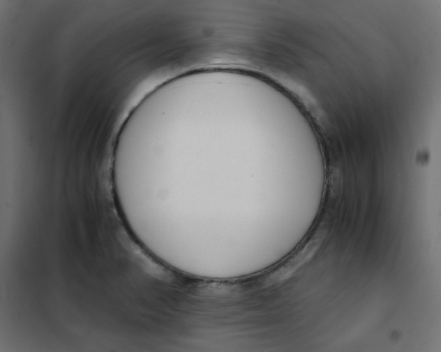 X0000101391374200807280928