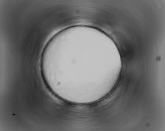 X0000101391375200807280928