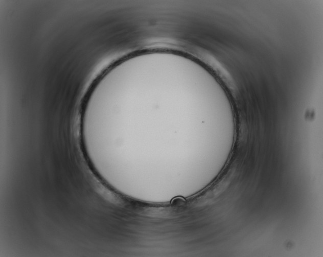 X0000101391376200807280928