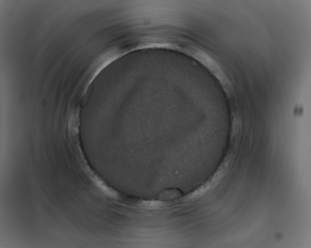 X0000101391377200807280928