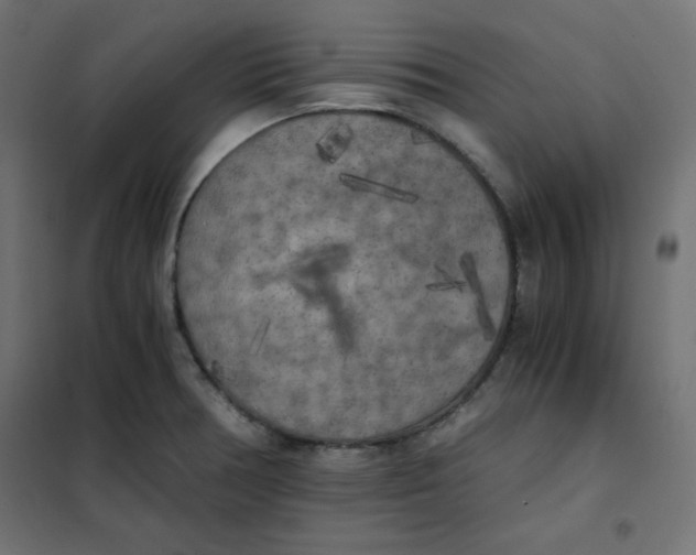 X0000101391378200807280928