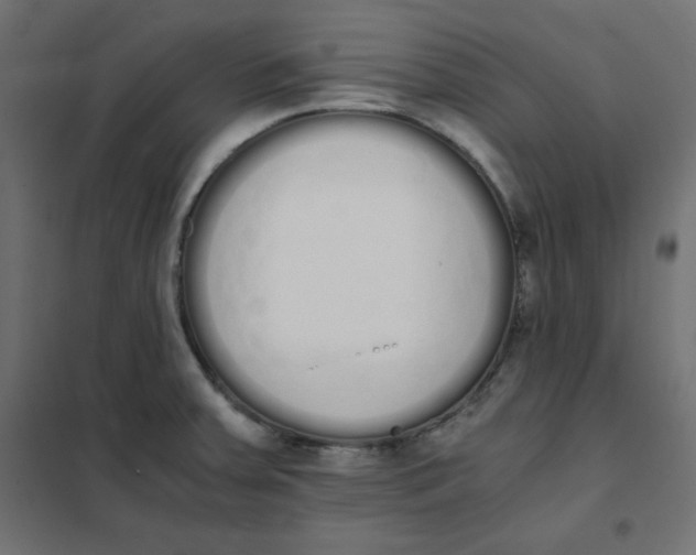 X0000101391379200807280928