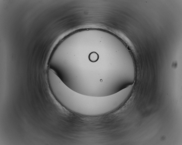 X0000101391380200807280927