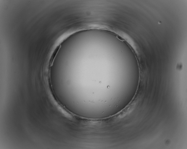 X0000101391381200807280927