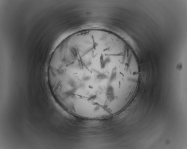 X0000101391382200807280927