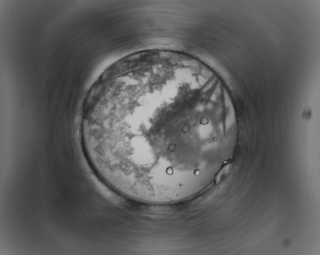 X0000101391383200807280927