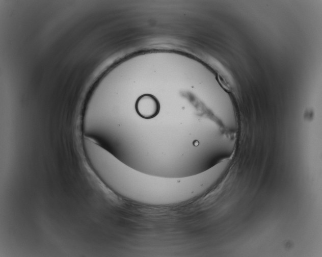 X0000101391384200807280927