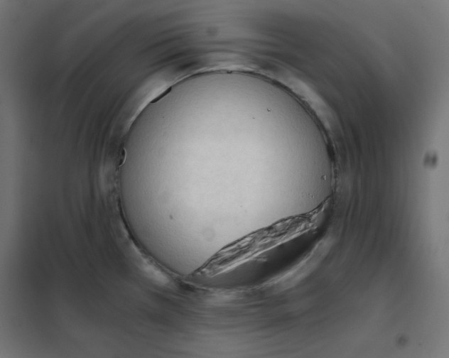 X0000101391385200807280927