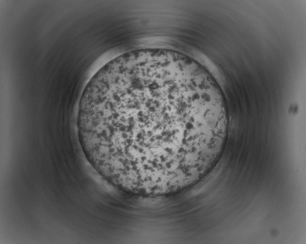 X0000101391386200807280927