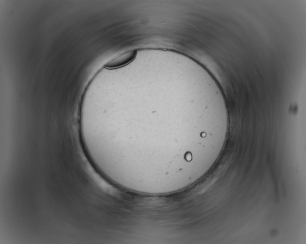 X0000101391387200807280927