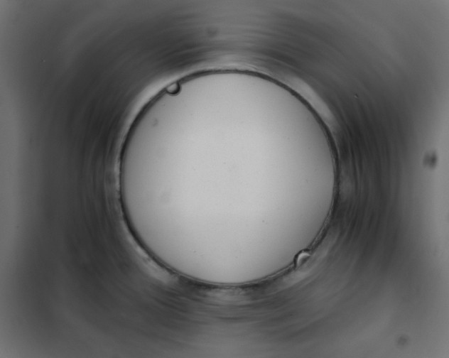 X0000101391388200807280927