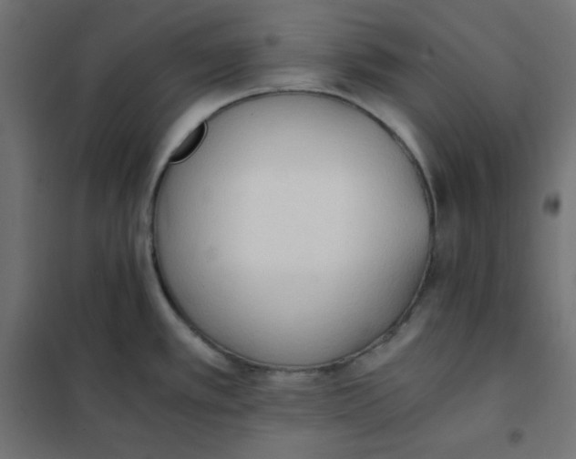 X0000101391389200807280927