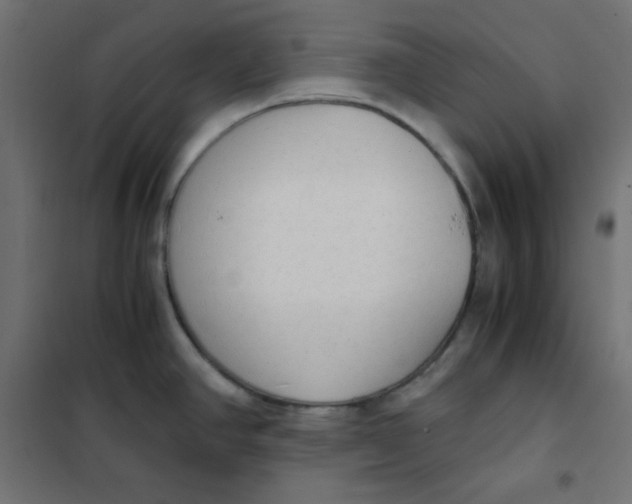 X0000101391390200807280927