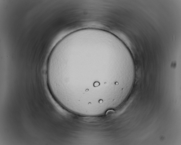 X0000101391391200807280927