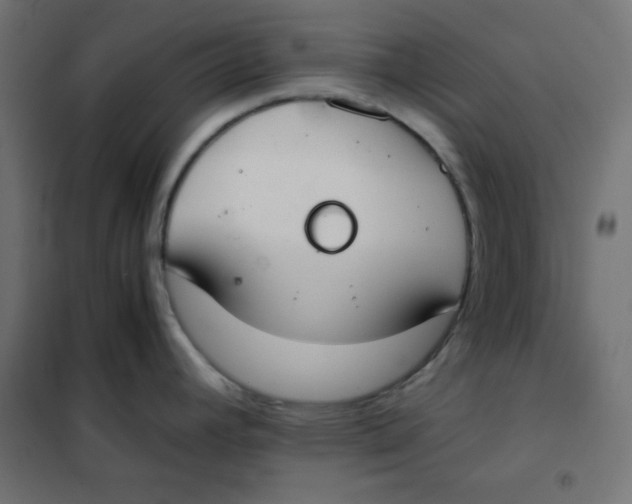 X0000101391392200807280927