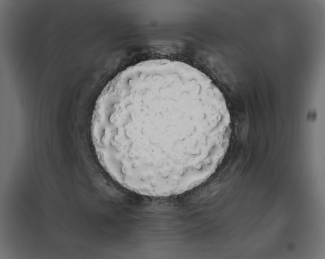 X0000101391393200807280927