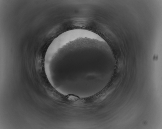 X0000101391394200807280927