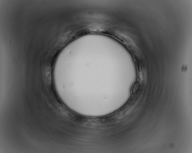 X0000101391396200807280927