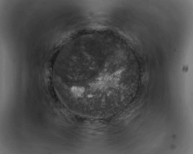 X0000101391397200807280927