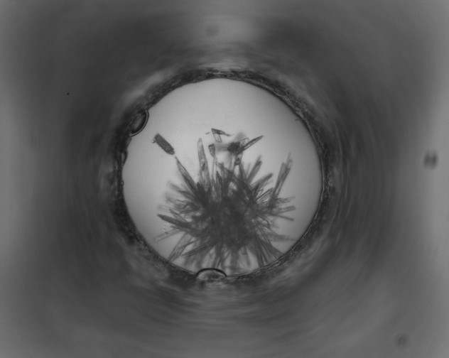 X0000101391398200807280927