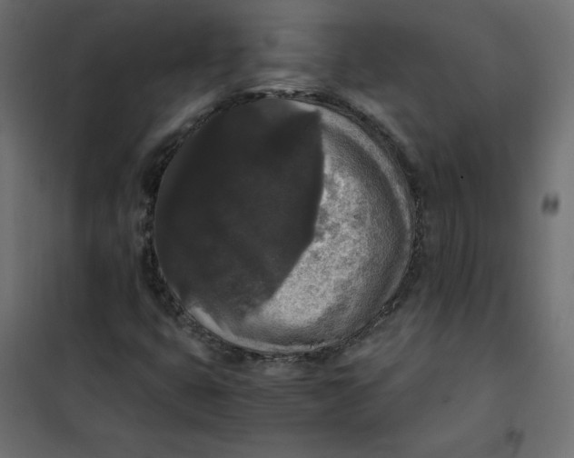 X0000101391399200807280927