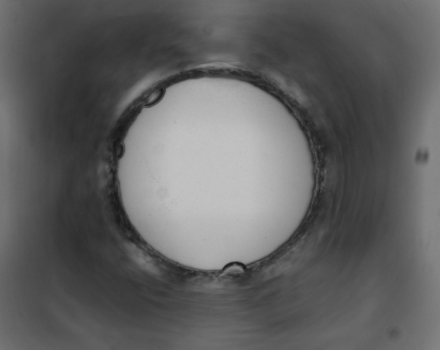 X0000101391400200807280927