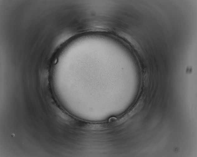 X0000101391402200807280927