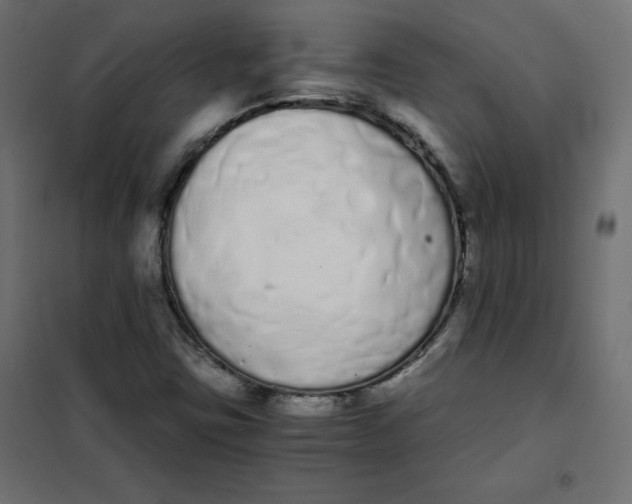 X0000101391403200807280927