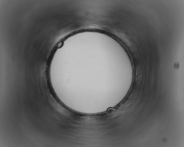 X0000101391404200807280927