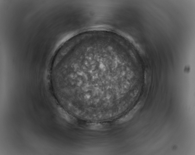 X0000101391405200807280927