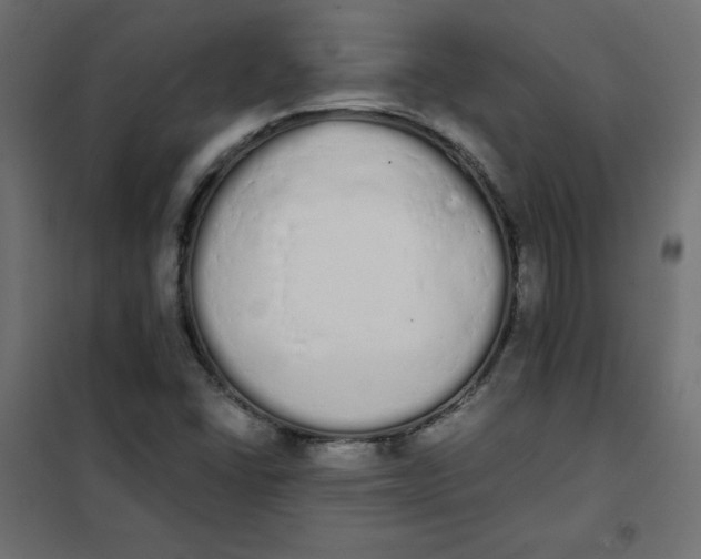 X0000101391406200807280927