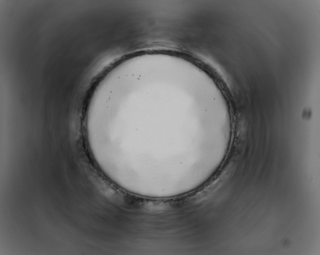 X0000101391407200807280927