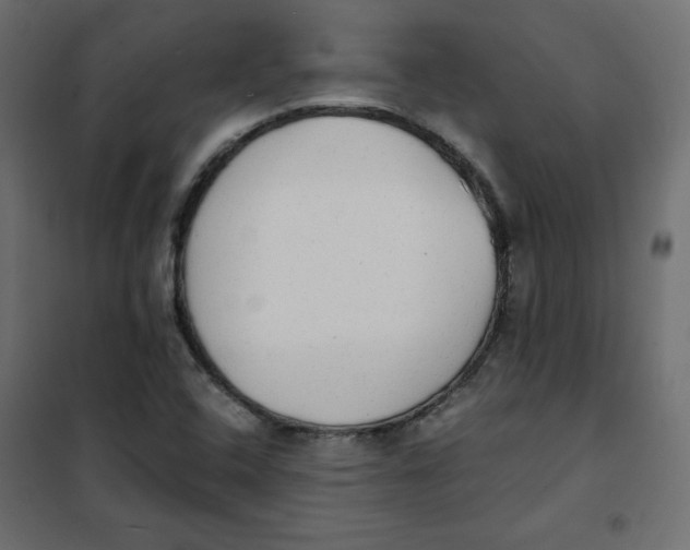 X0000101391408200807280927