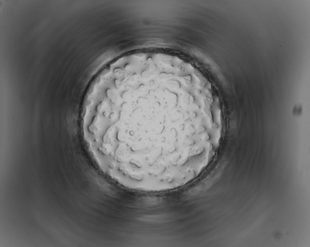 X0000101391409200807280927