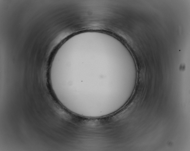 X0000101391410200807280927