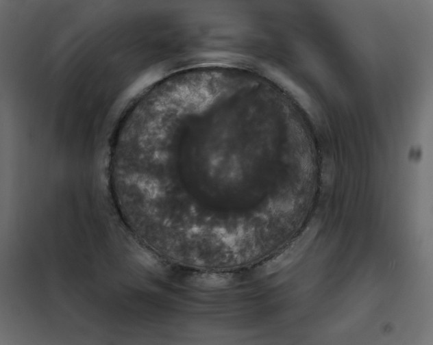 X0000101391411200807280927